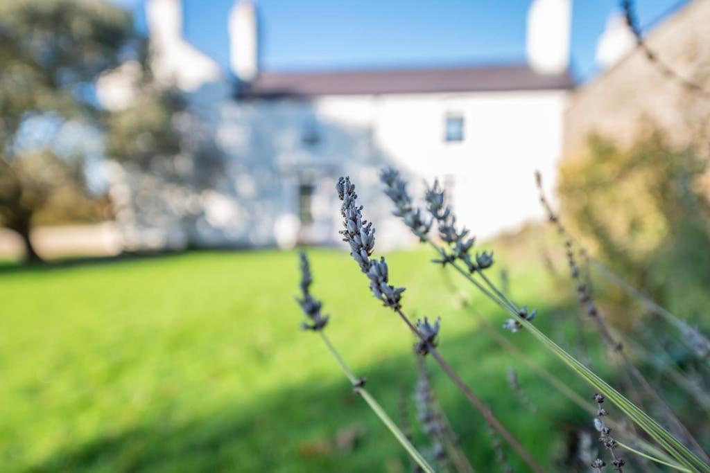 Georgian Country House -Panoramic Views -Sleeps 12 Ruthin Kültér fotó